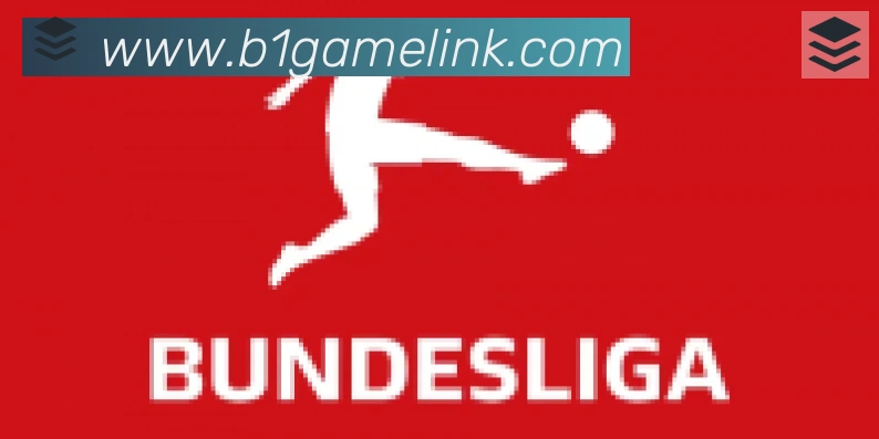B体育合作伙伴